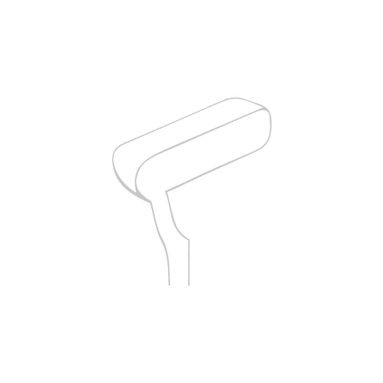 Ten 2 Ball Broomstick Putter
