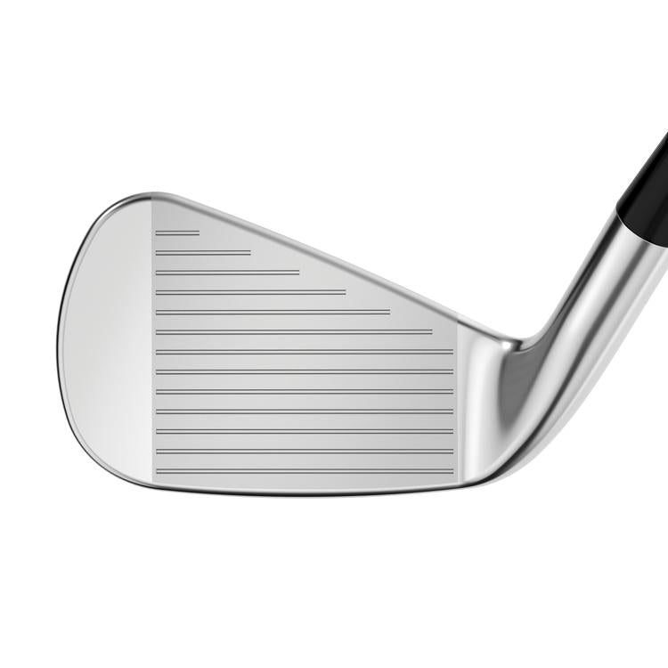 Apex Pro 21 Iron