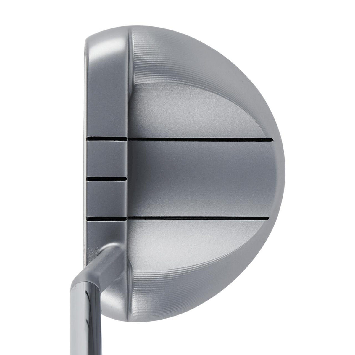 White Hot OG Rossie S Putter